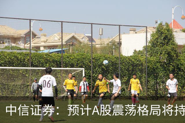中信证券：预计A股震荡格局将持续，三季报前后迎最后进攻机会