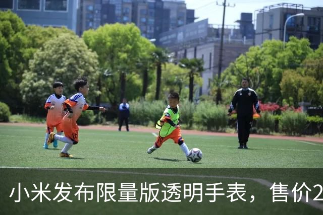 小米发布限量版透明手表，售价2499元引发热议