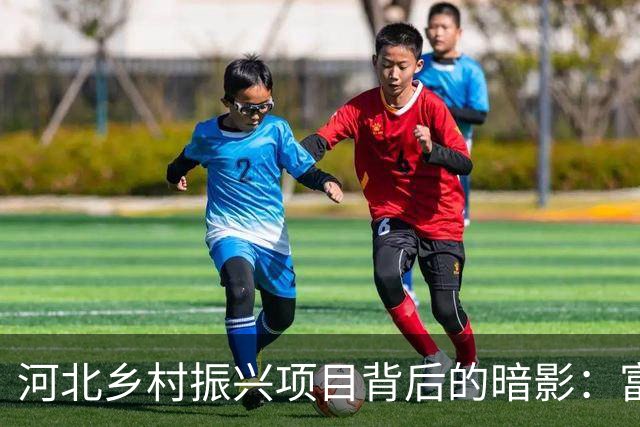 河北乡村振兴项目背后的暗影：富豪家族的争议墓地