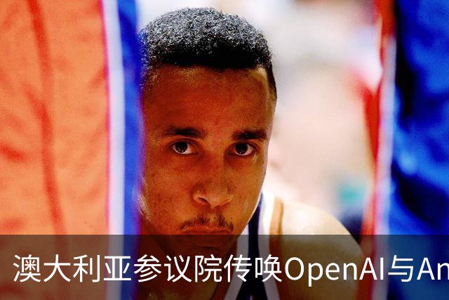 澳大利亚参议院传唤OpenAI与Anthropic高管回应AI系统侵入事件